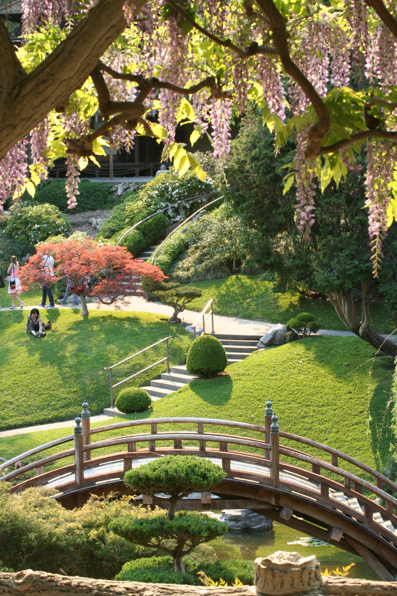 Japanese Gardens Huntington Botanical Gardens