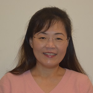 Weili-300 Weili-300